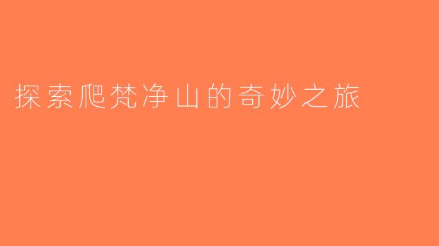 探索爬梵净山的奇妙之旅