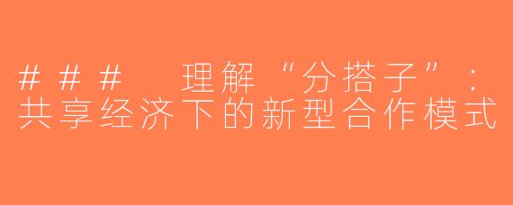 ### 理解“分搭子”：共享经济下的新型合作模式