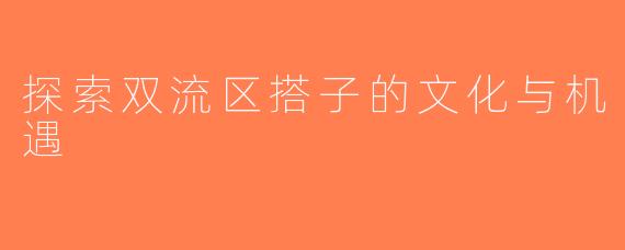 探索双流区搭子的文化与机遇
