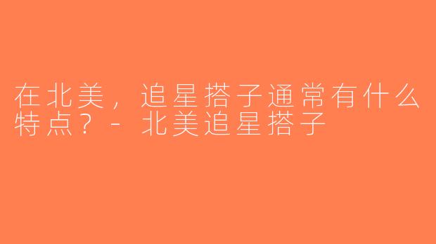 在北美，追星搭子通常有什么特点？-北美追星搭子
