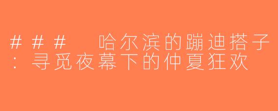 ### 哈尔滨的蹦迪搭子：寻觅夜幕下的仲夏狂欢