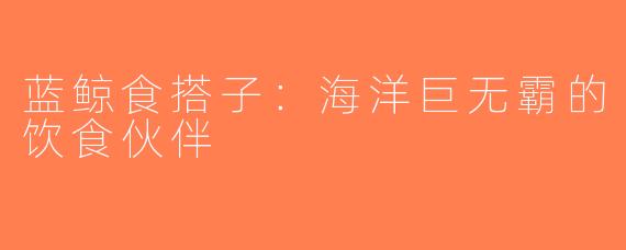 蓝鲸食搭子：海洋巨无霸的饮食伙伴