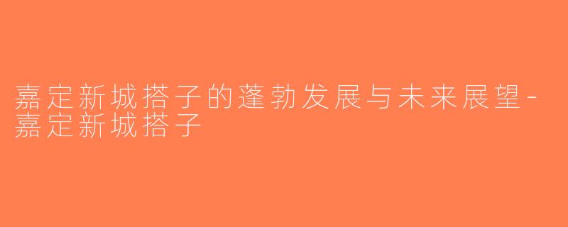 嘉定新城搭子的蓬勃发展与未来展望-嘉定新城搭子