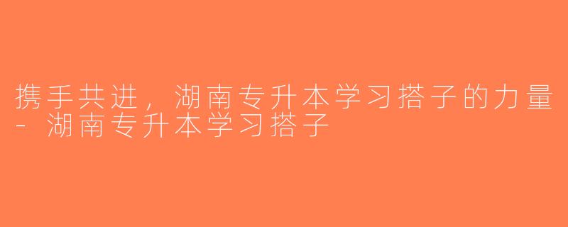 携手共进，湖南专升本学习搭子的力量-湖南专升本学习搭子