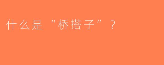什么是“桥搭子”？  