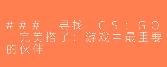 ### 寻找 CS:GO 完美搭子：游戏中最重要的伙伴