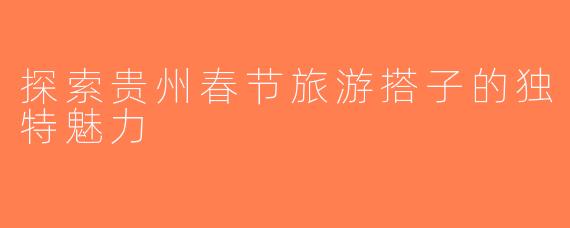 探索贵州春节旅游搭子的独特魅力