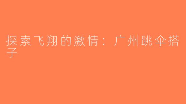 探索飞翔的激情：广州跳伞搭子