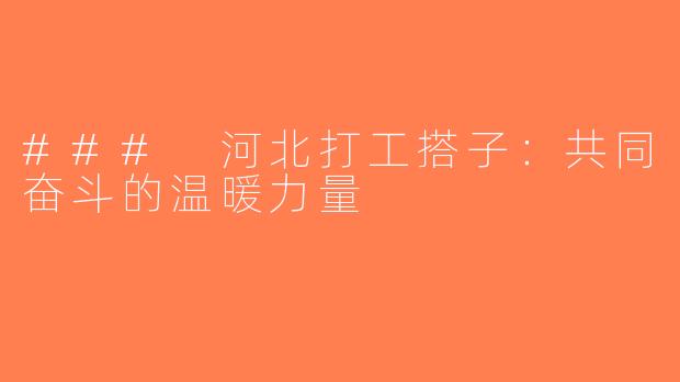 ### 河北打工搭子：共同奋斗的温暖力量