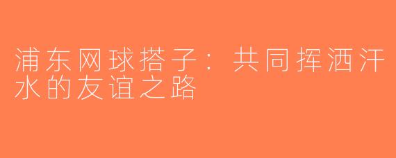 浦东网球搭子：共同挥洒汗水的友谊之路