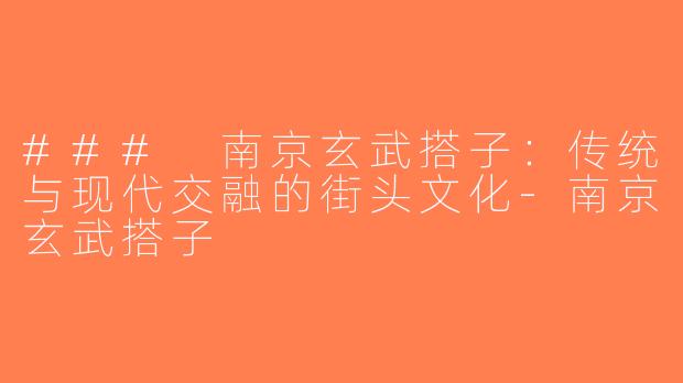 ### 南京玄武搭子：传统与现代交融的街头文化-南京玄武搭子