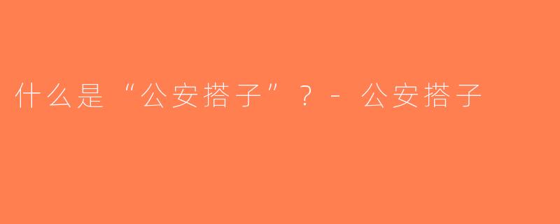 什么是“公安搭子”？-公安搭子
