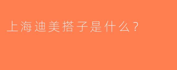 上海迪美搭子是什么？