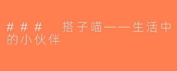 ### 搭子喵——生活中的小伙伴