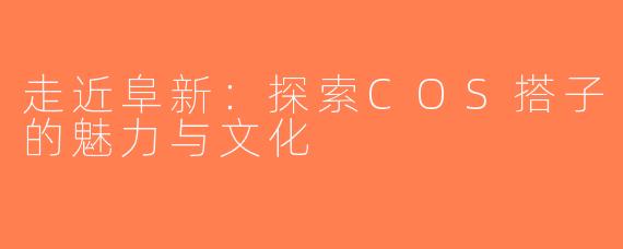 走近阜新：探索COS搭子的魅力与文化