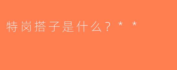 特岗搭子是什么？**