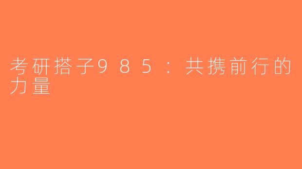 考研搭子985：共携前行的力量