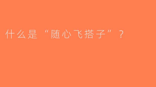 什么是“随心飞搭子”？  