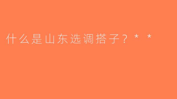 什么是山东选调搭子？**