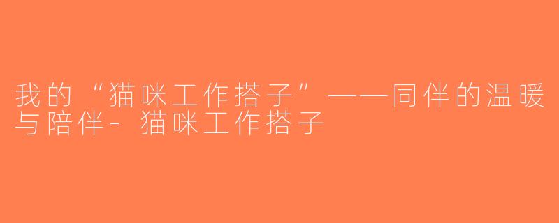 我的“猫咪工作搭子”——同伴的温暖与陪伴-猫咪工作搭子