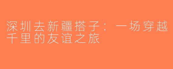 深圳去新疆搭子：一场穿越千里的友谊之旅