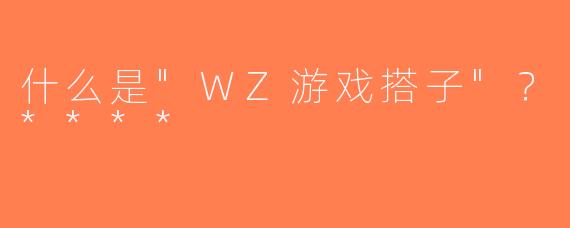 什么是