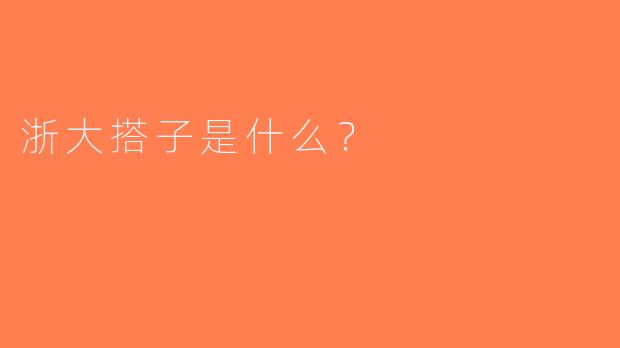 浙大搭子是什么？  