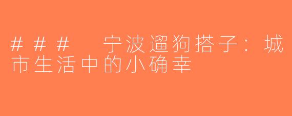 ### 宁波遛狗搭子：城市生活中的小确幸