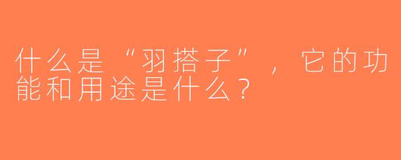 什么是“羽搭子”，它的功能和用途是什么？