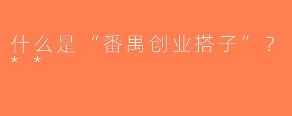 什么是“番禺创业搭子”？**