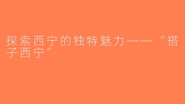 探索西宁的独特魅力——“搭子西宁”