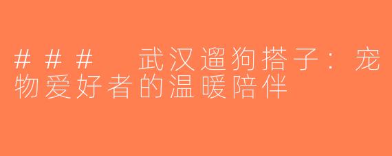 ### 武汉遛狗搭子：宠物爱好者的温暖陪伴