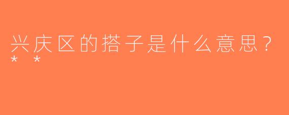 兴庆区的搭子是什么意思？**
