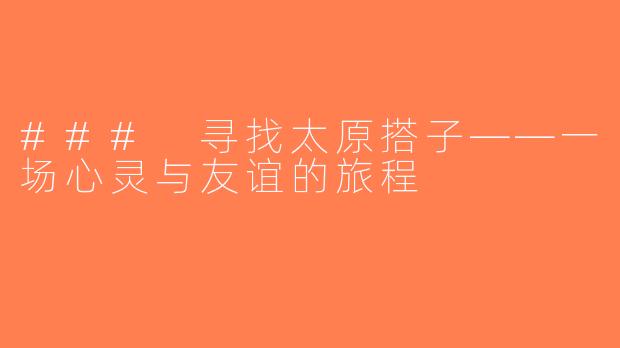 ### 寻找太原搭子——一场心灵与友谊的旅程