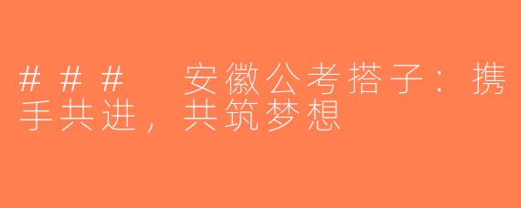 ### 安徽公考搭子：携手共进，共筑梦想