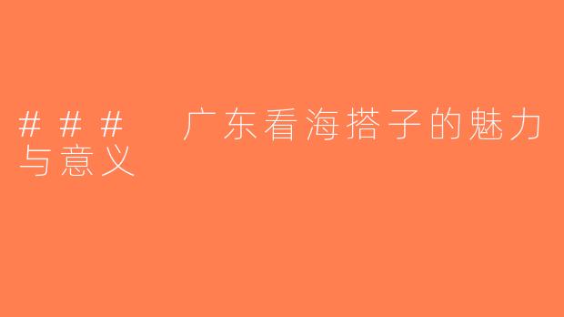 ### 广东看海搭子的魅力与意义