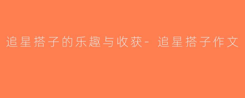 追星搭子的乐趣与收获-追星搭子作文