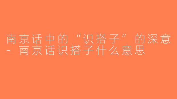 南京话中的“识搭子”的深意-南京话识搭子什么意思