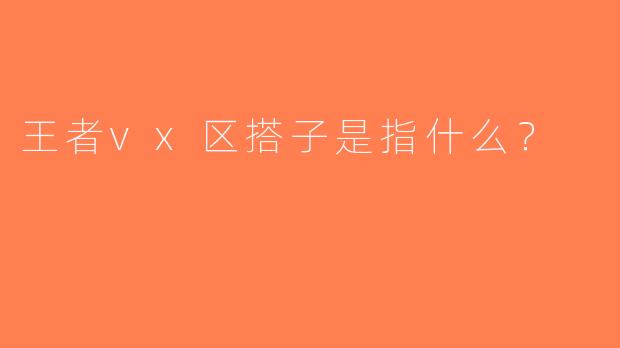 王者vx区搭子是指什么？