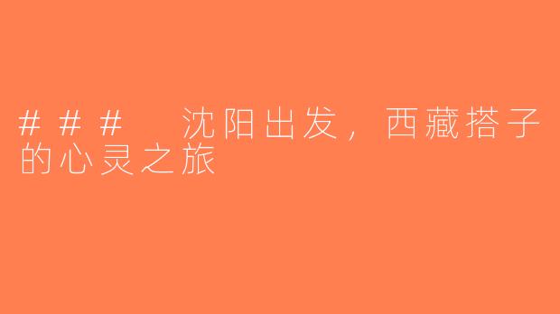 ### 沈阳出发，西藏搭子的心灵之旅