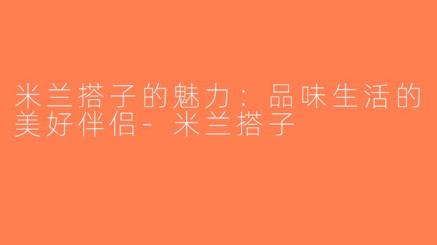 米兰搭子的魅力：品味生活的美好伴侣-米兰搭子