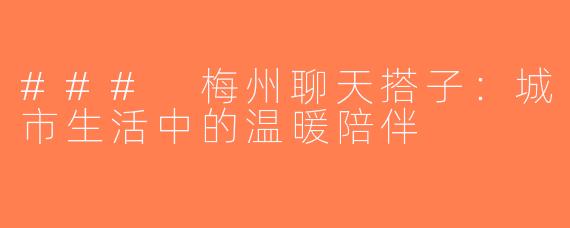 ### 梅州聊天搭子：城市生活中的温暖陪伴