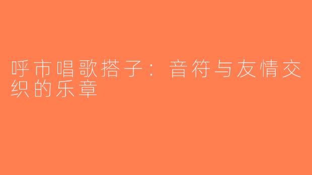 呼市唱歌搭子：音符与友情交织的乐章