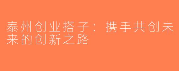 泰州创业搭子：携手共创未来的创新之路