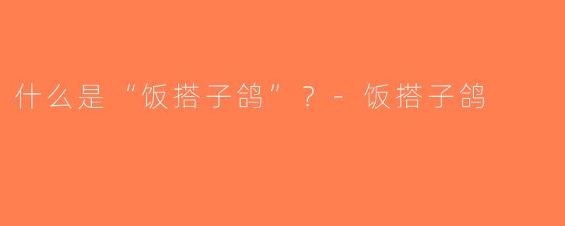 什么是“饭搭子鸽”？-饭搭子鸽