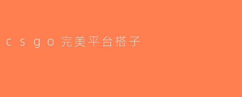 csgo完美平台搭子