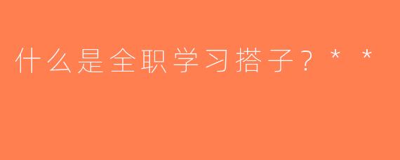 什么是全职学习搭子？**
