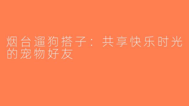 烟台遛狗搭子：共享快乐时光的宠物好友