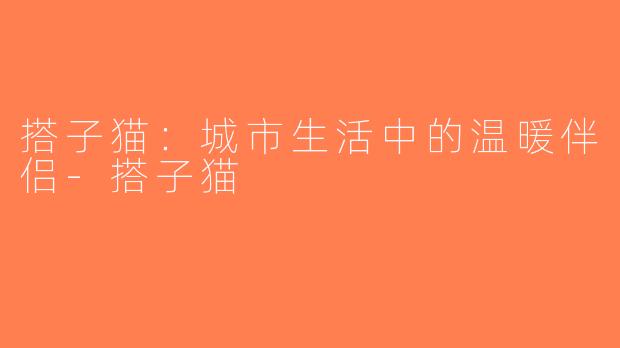 搭子猫：城市生活中的温暖伴侣-搭子猫