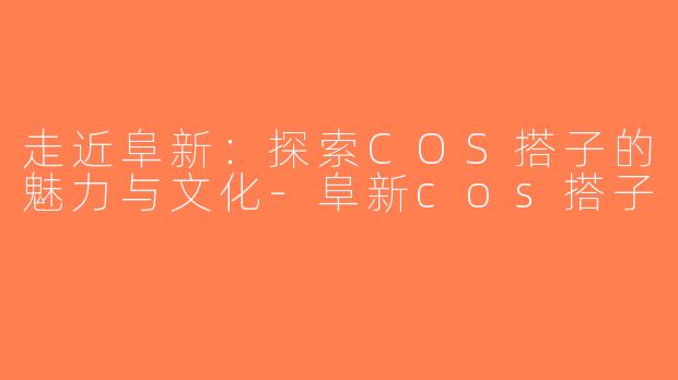 走近阜新：探索COS搭子的魅力与文化-阜新cos搭子